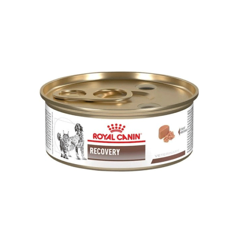 lata recovery royal canin lata recovery royal canin